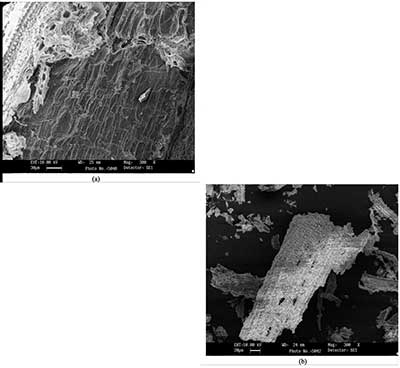 ����̿��ˮ��Һ�������